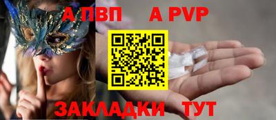 spice Кингисепп