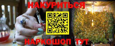 spice Кингисепп