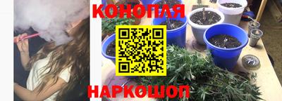 spice Кингисепп