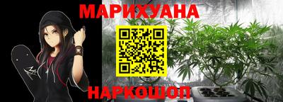 spice Кингисепп